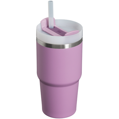 The Quencher H2.0 FlowState™ Tumbler | 20 OZ - Stanley Create