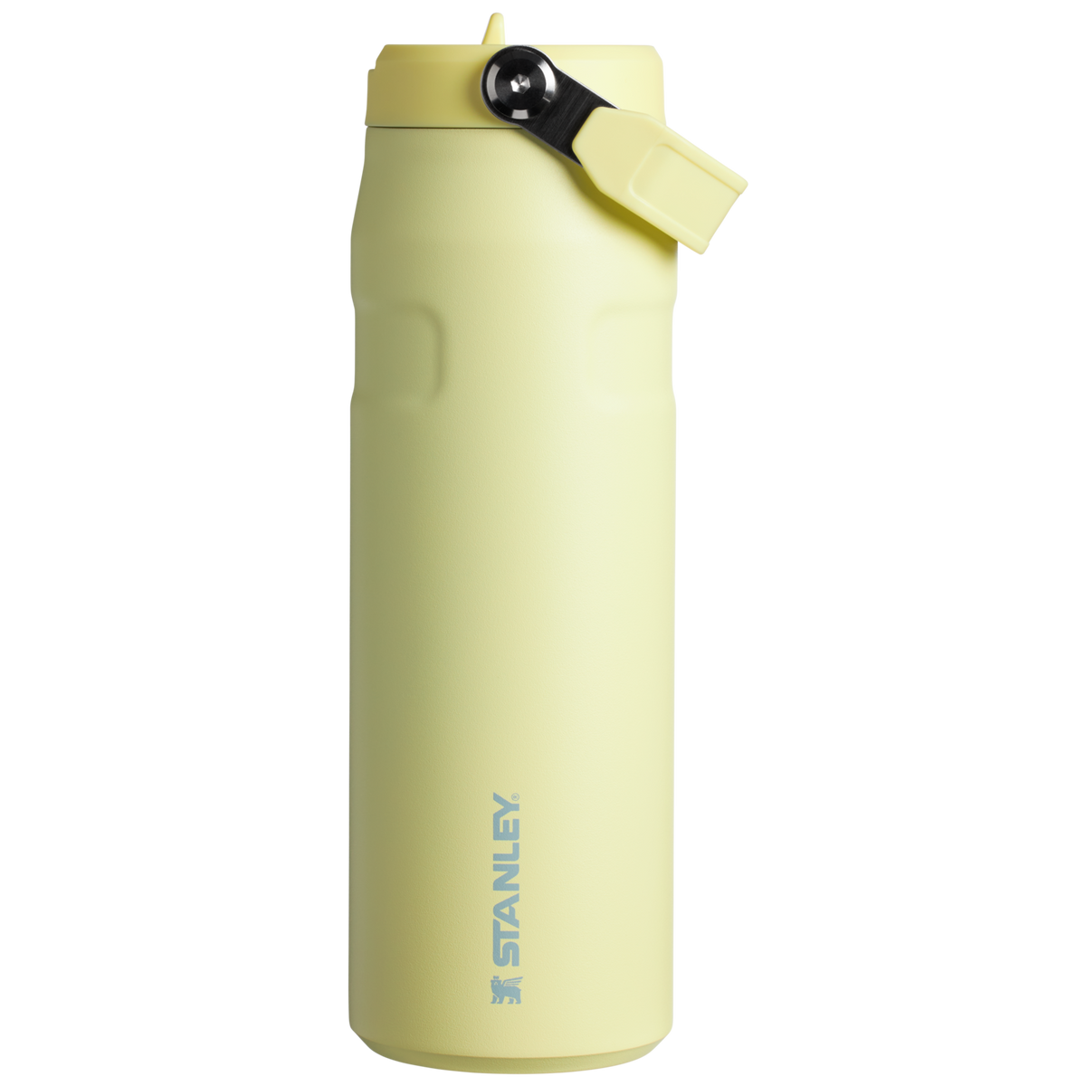 The IceFlow™ Bottle with Flip Straw Lid | 24 OZ