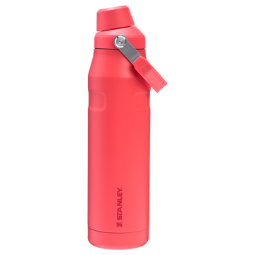 Hot Coral
